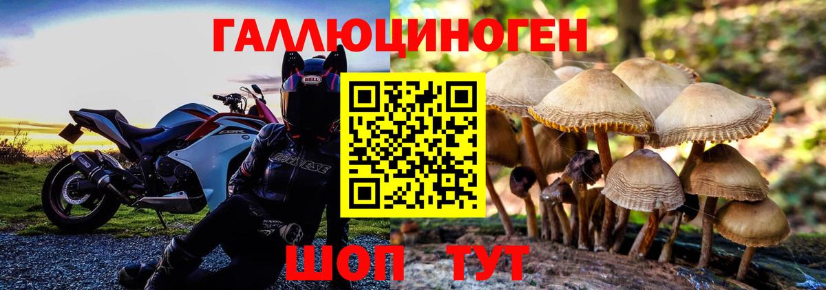 Псилоцибиновые грибы GOLDEN TEACHER  Вход с VPN  Усолье-Сибирское 